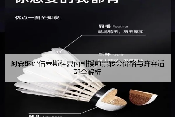 阿森纳评估塞斯科夏窗引援前景转会价格与阵容适配全解析